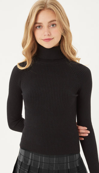 Basic Turtleneck Sweater Top- Black
